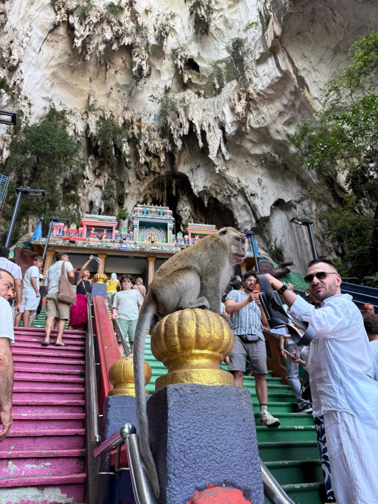 A macaque on the rainbow steps below the cave mouth at Batu Caves, Kuala Lumpur