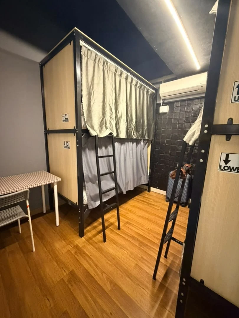 A metal-framed bunk with privacy curtains and labelled upper and lower beds, in a dormitory at Travelogue Guesthouse