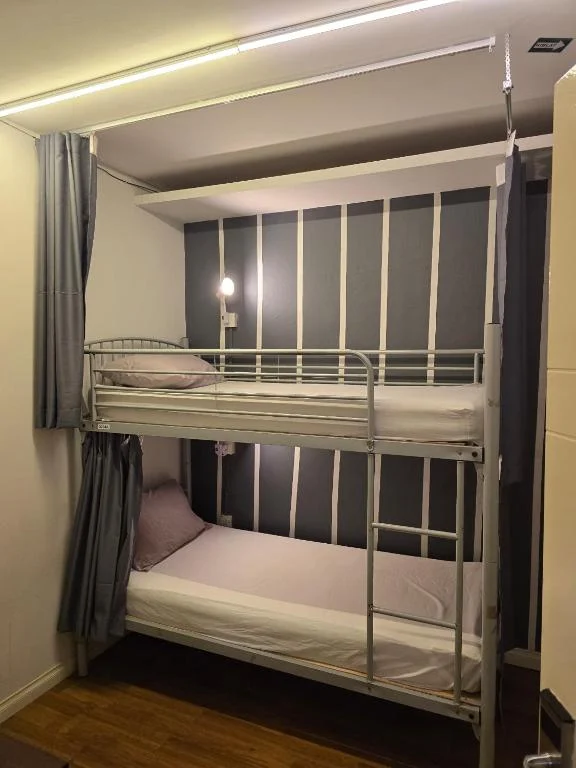 A bunk in the male dormitory at Travelogue Guesthouse: a metal frame with a grey privacy curtain, a reading light on the panelled wall and a ladder to the top bed